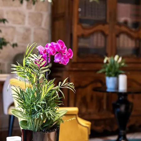 Hotel Minerve 3*